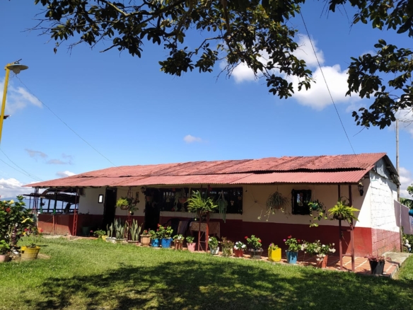 fincas en venta